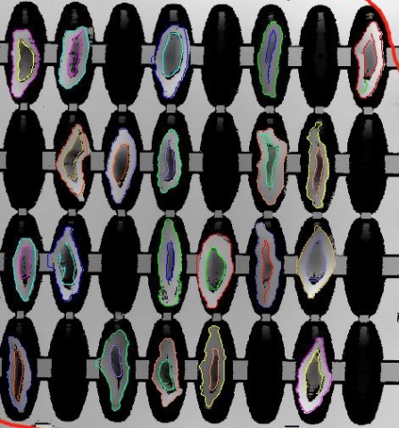 1558954597105727.jpg