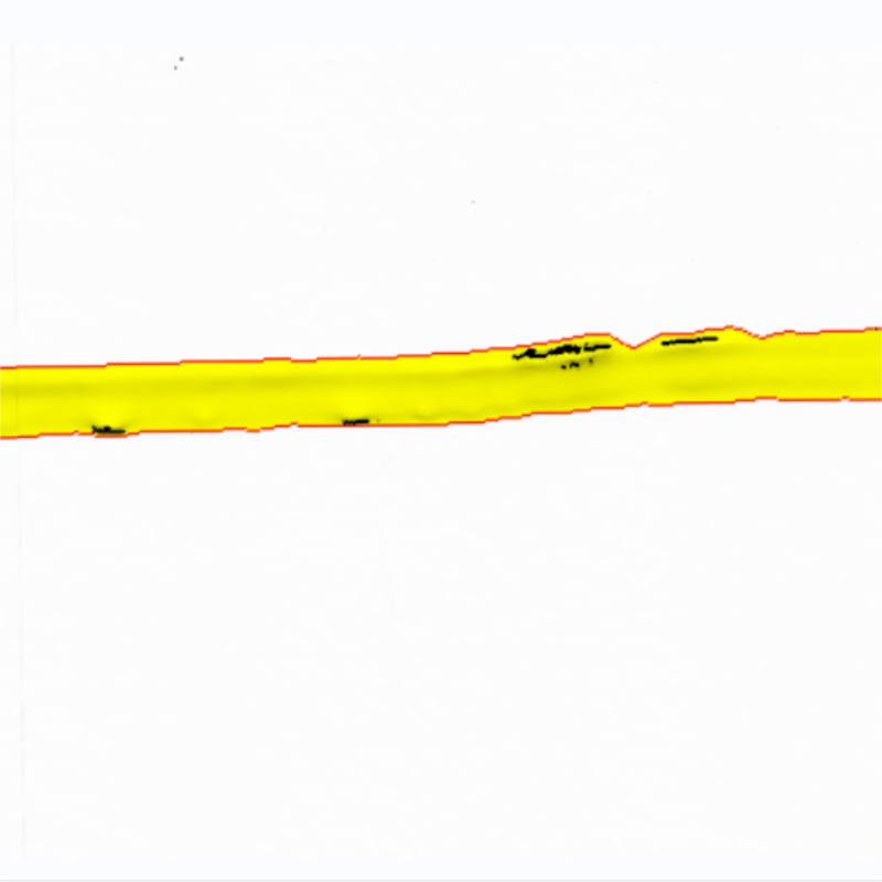 1740377843115741.jpg